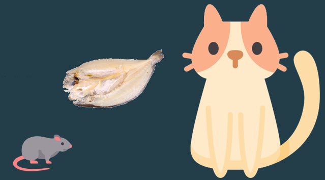 Kucing dan Tikus