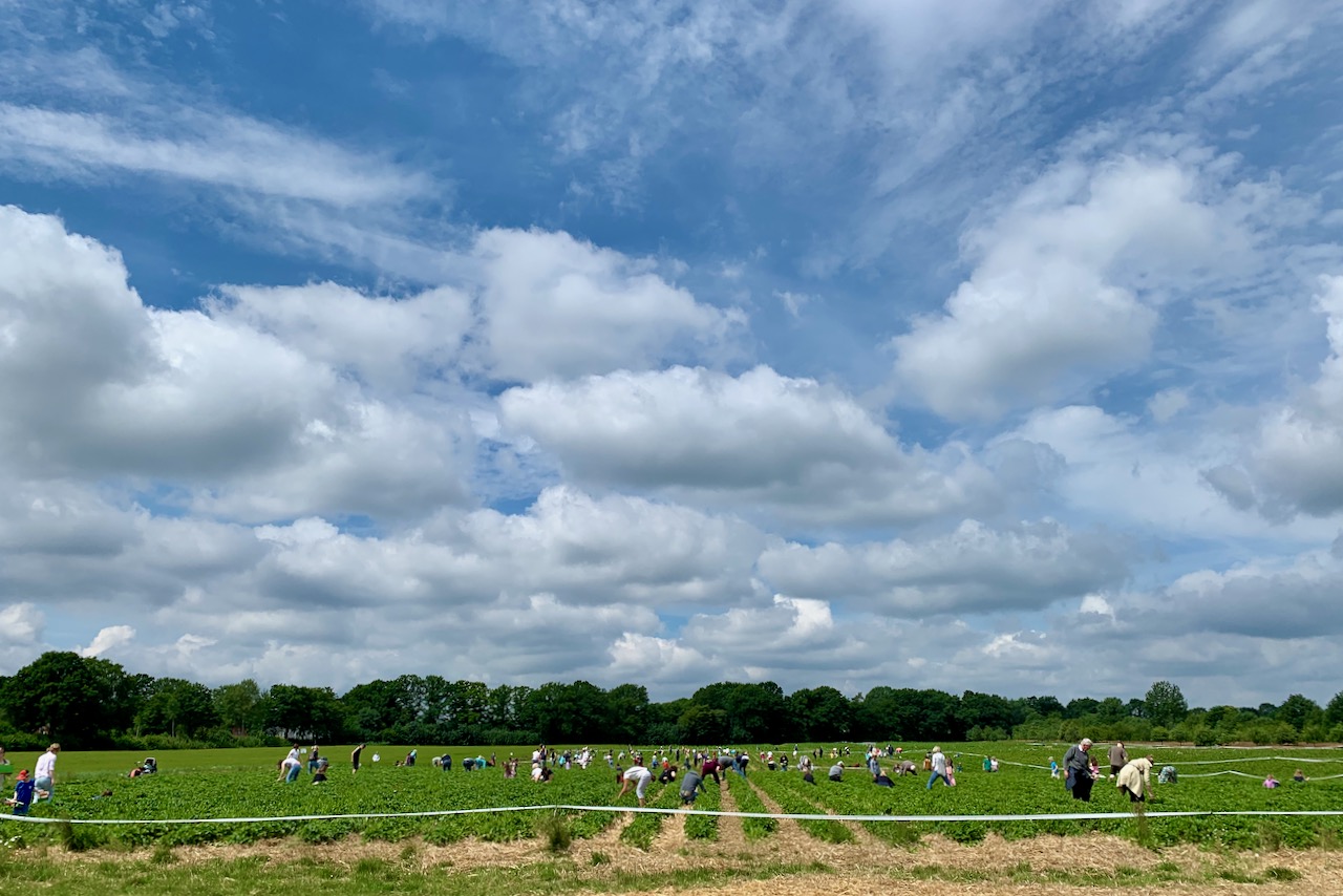 Kustenkidsunterwegs 5 Ausfluge Mit Kindern Bei Regenwetter In Kiel