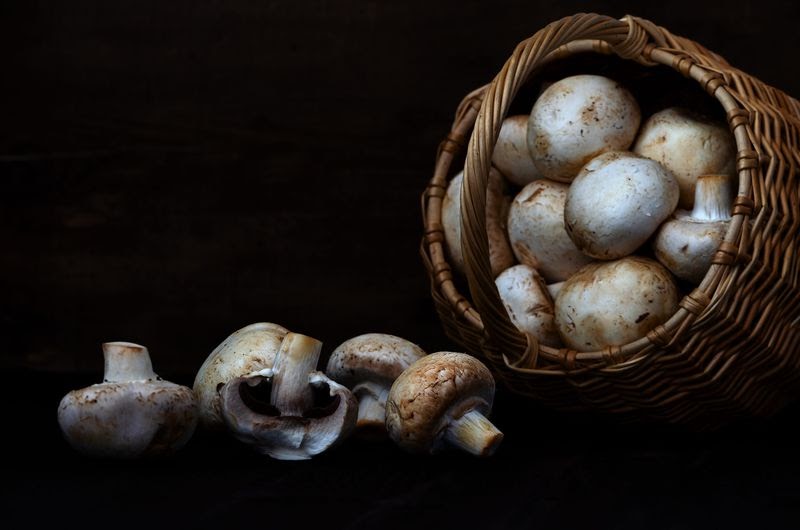 brud Geografi mulighed Cum se cultivă ciupercile champignon? Când se recoltează? | SCRIdoc