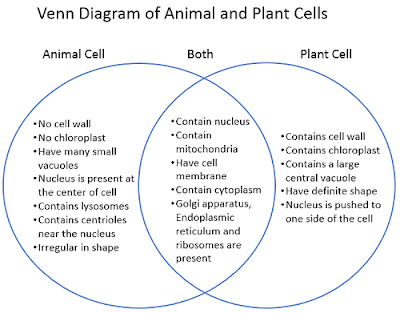 plant-and-animal-cells-Venn-diagram
