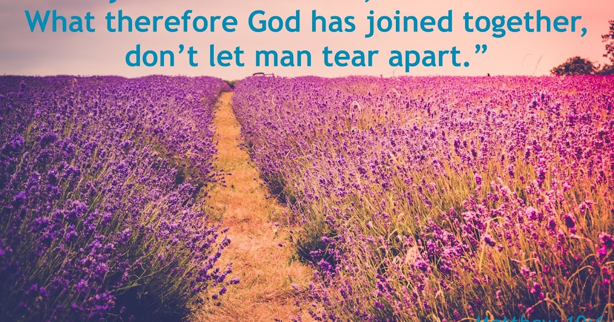 Matthew 19 4 6 Matthew 19 4 6