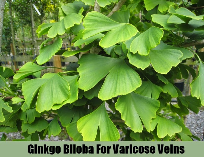 9 HERBAL REMEDIES FOR VARICOSE VEINS Mzizi Mkavu