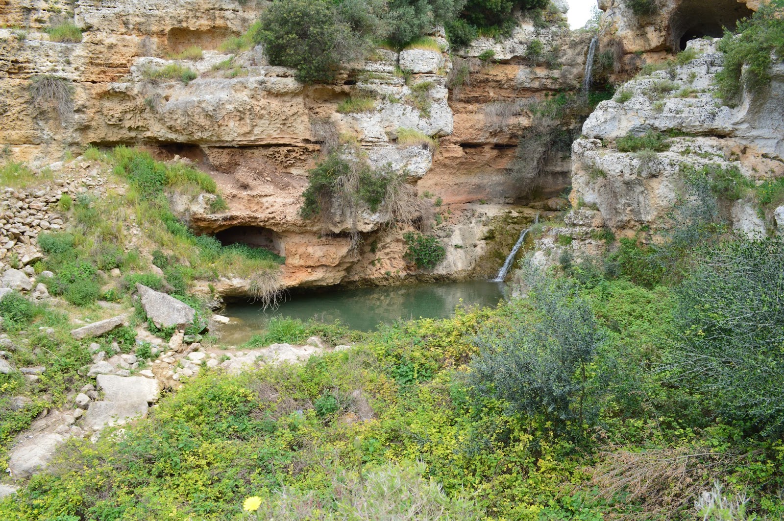 Un Tuffo Nello Jonio Giugno 2015