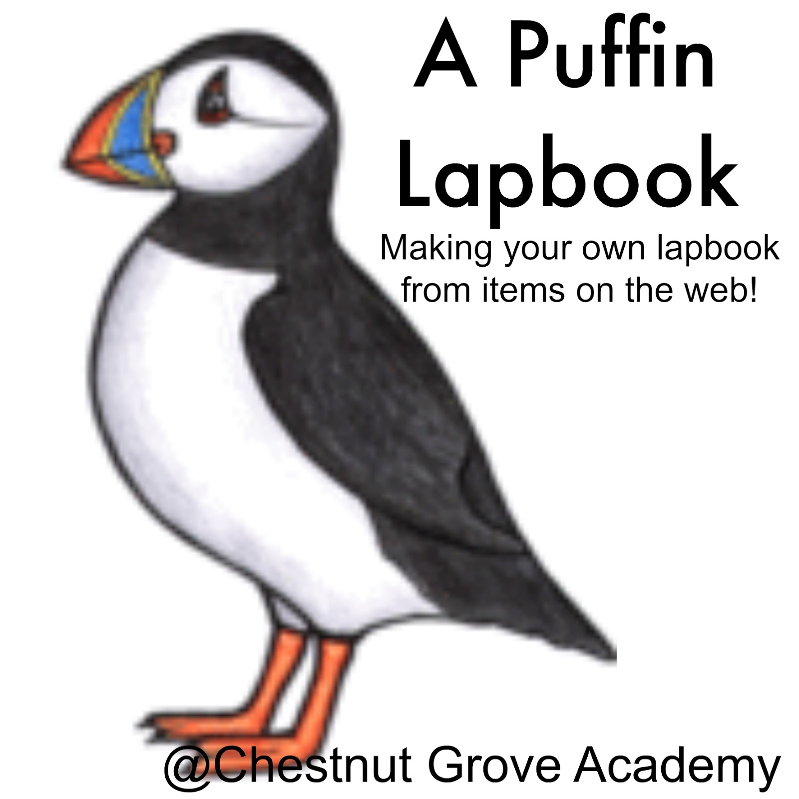 puffin learning academy puffin learning academy