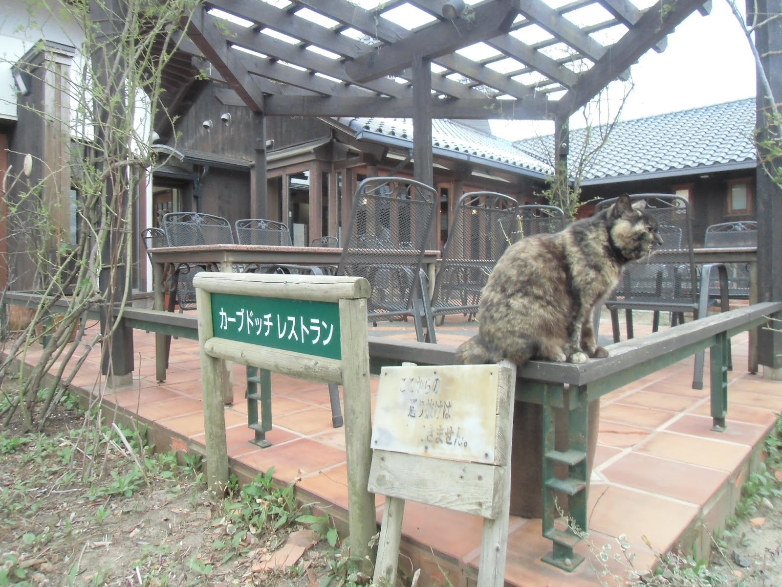 Onsen (Hot Spring) Addict in Japan Winery Hot Spring Resort