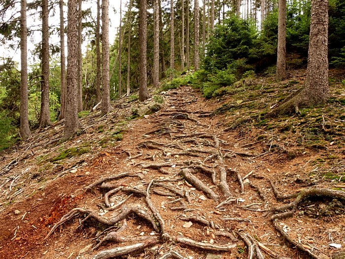 Taunus Wiesbaden Grosser Feldberg Kleiner Feldberg Weisse Mauer