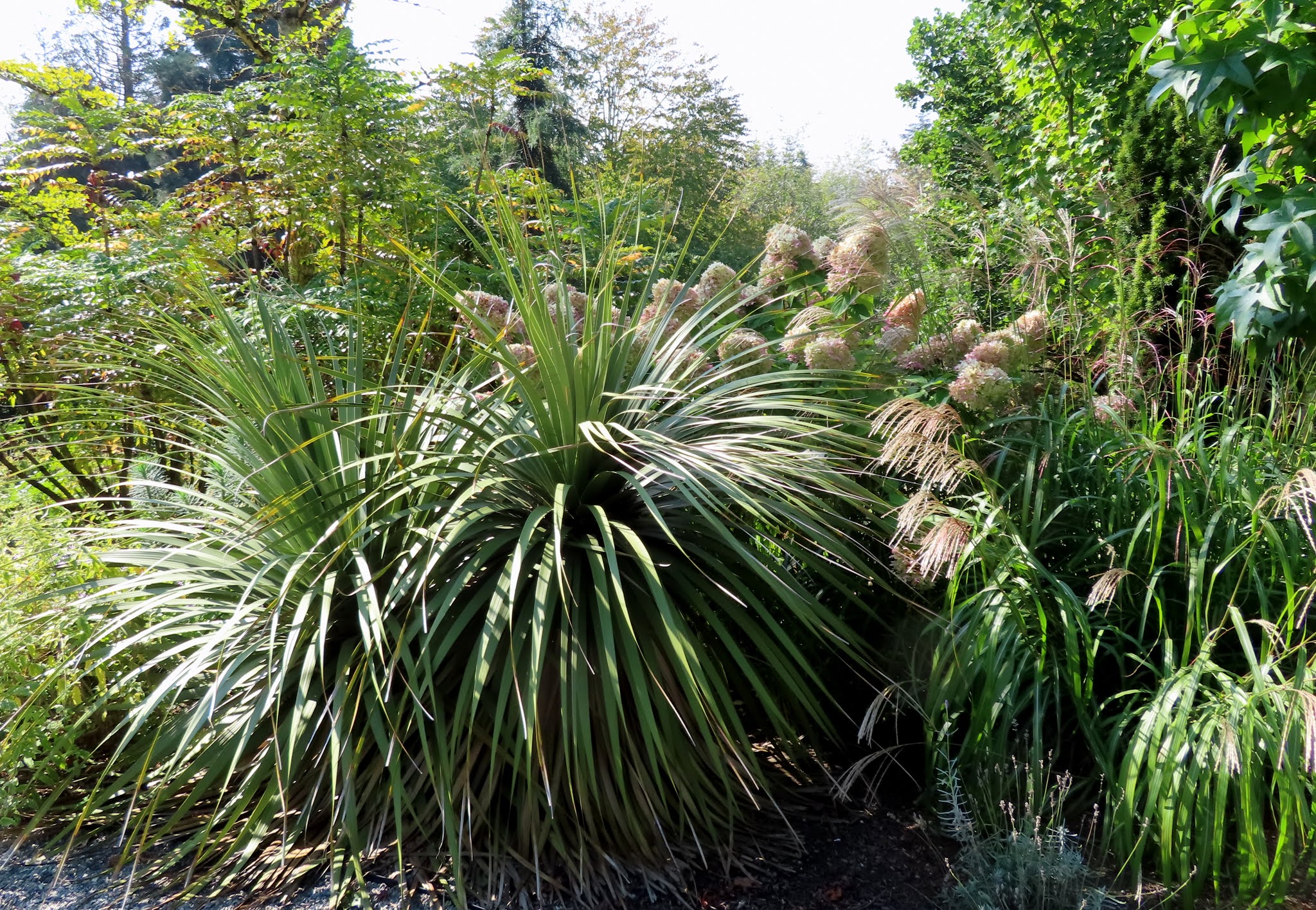 danger garden: Visiting the Bellevue Botanical Garden, Part Two