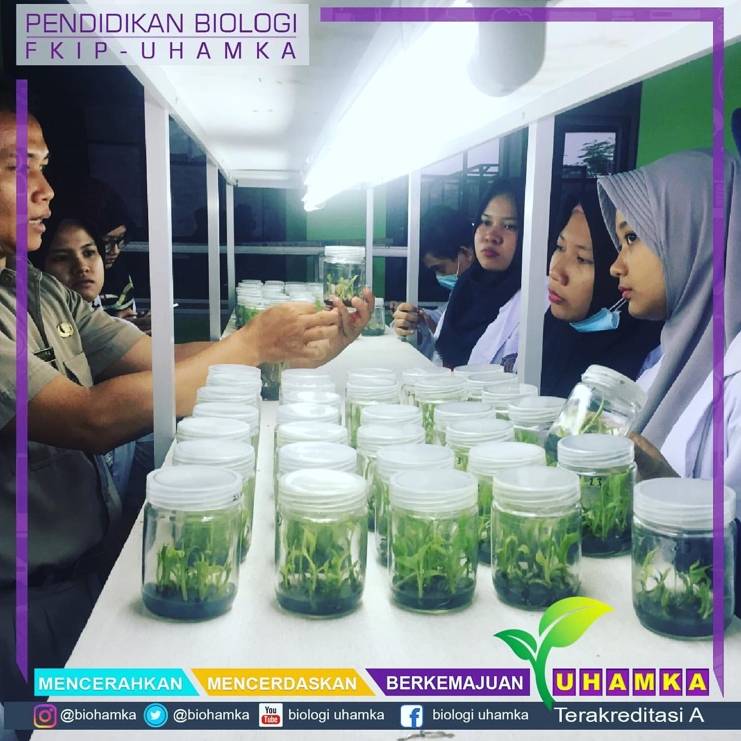 Tidak Perlu Khawatir Ini Prospek Kerja Pendidikan Biologi Uhamka Berita 24 Indonesia