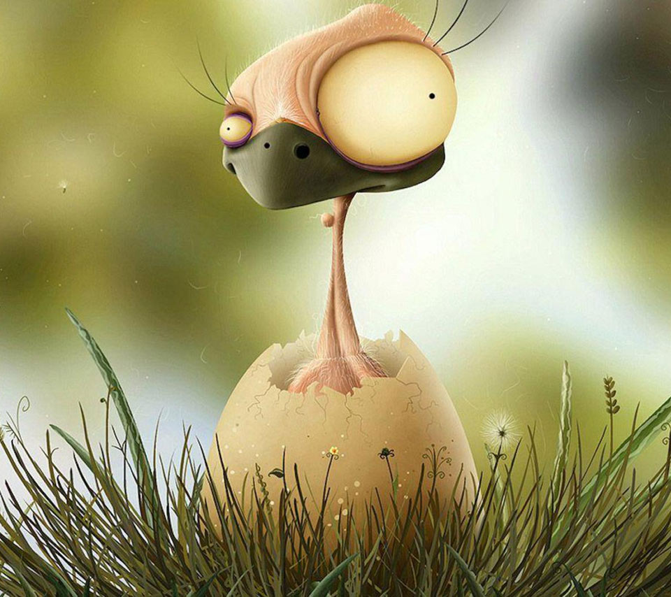 The teach Zone: Worlds Funniest Bird Picture with Caption