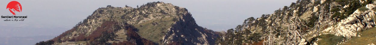Serra di Crispo dalla Serretta della Porticella