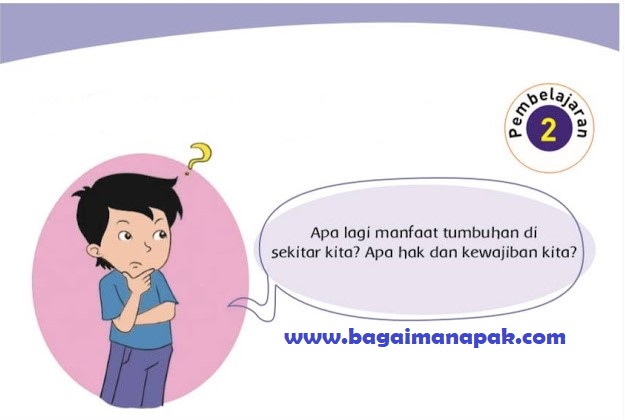 Get Kunci Jawaban Tema 3 Kelas 4 Halaman 29 Pics