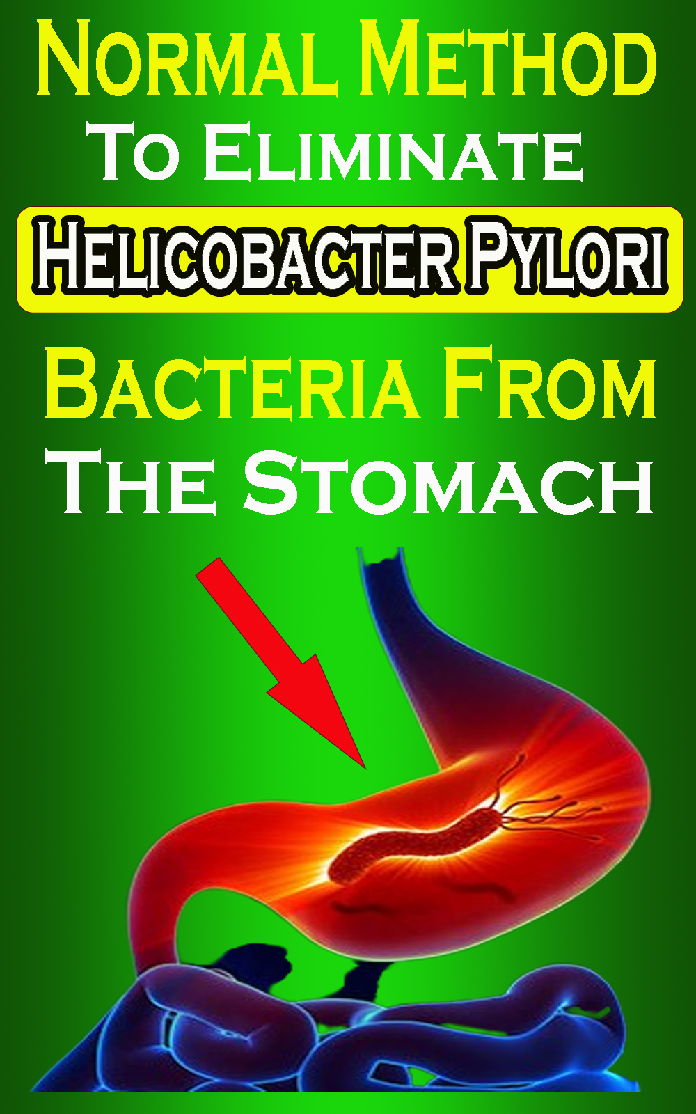 Normal Method To Eliminate Helicobacter Pylori Bacteria From The