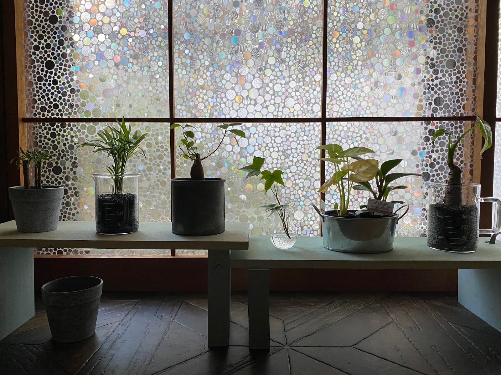 観葉植物用の簡易棚を作成