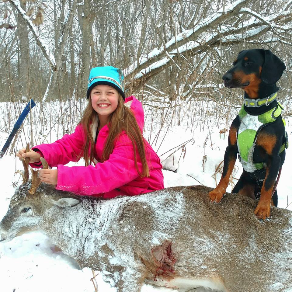 Find Wounded Deer Blood Tracking Dogs For Sale 2017