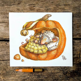 11-The-little-cosy-pumpkin-bed-Tatyana-Romanova-www-designstack-co