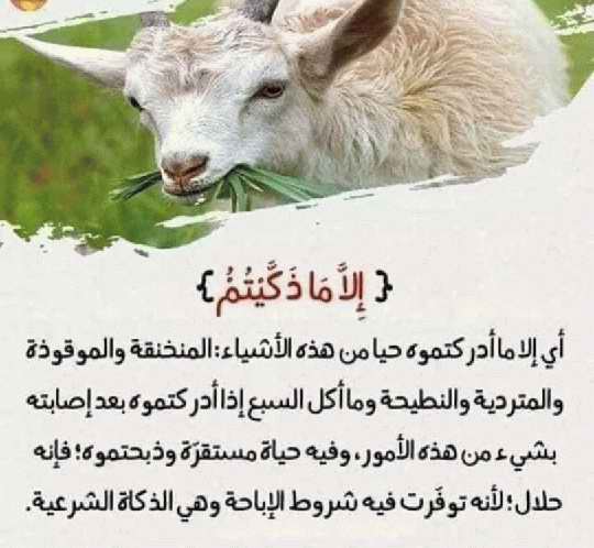 صور لفهم بعض آيات القرآن الكريم