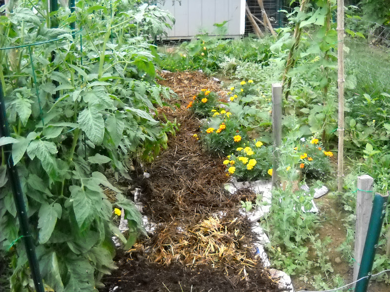 A Diva's Garden Keeping Weeds Down In The Garden