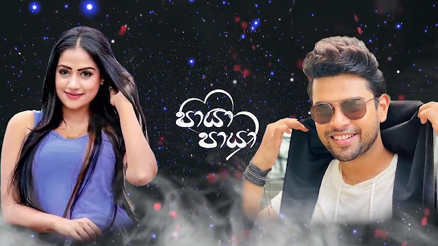 Paya Paya Song Lyrics - පායා පායා ගීතයේ පද පෙළ