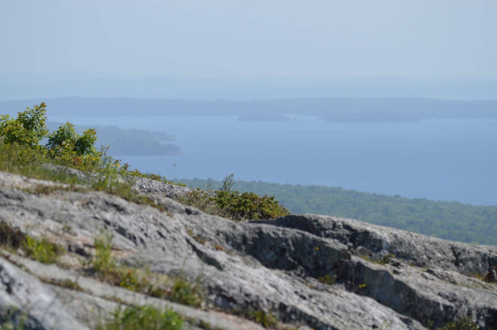 Kayaking MidCoast Maine and MORE Can't go wrong in Camden Harbor