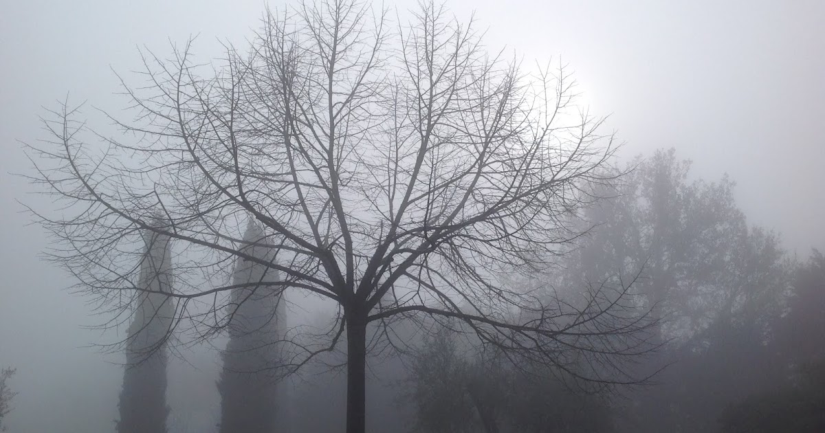 In... visibile: Lo sguardo a ciò che non si vede