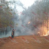 Graves daños, por el incendio forestal en Uruapan