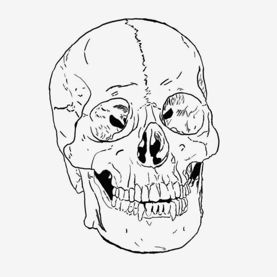 skull free printable coloring pages holiday.filminspector.com