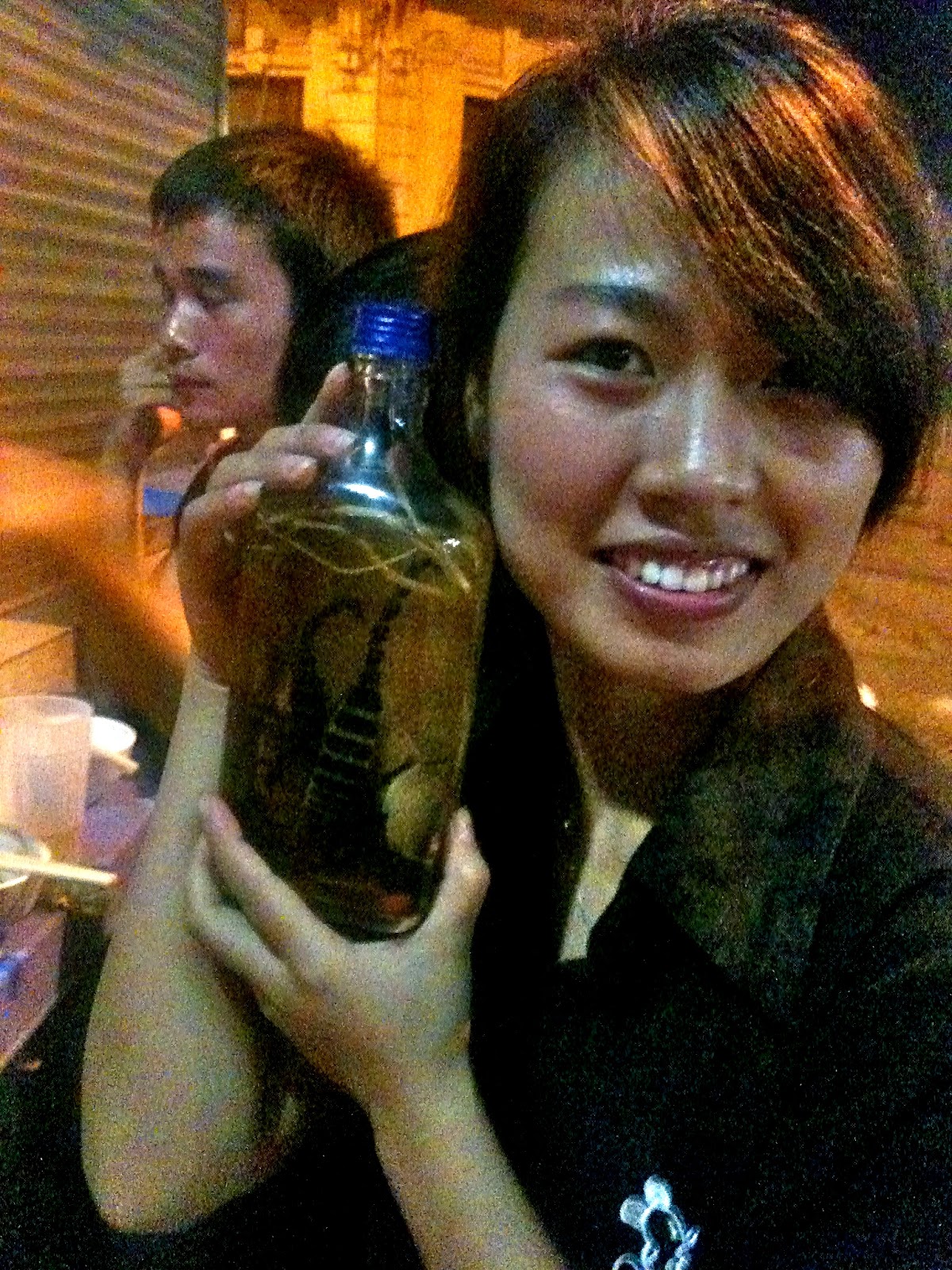 Sex Flies and Videotape Vietnam Hot Pot and Karaoke