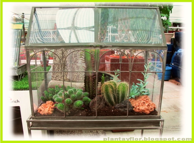Plantas y flores: Urnas invernadero