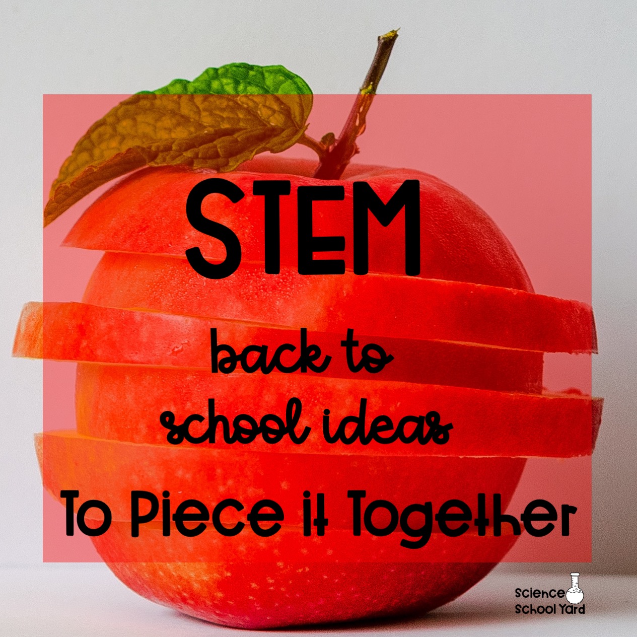 Back To School Activities For Your Science and STEM Class...In or Out