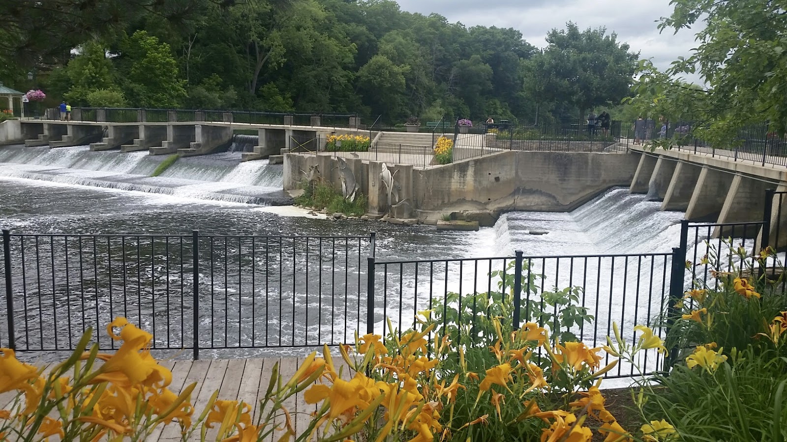 Along the Way White Pine Trail Comstock Park to Rockford (MI)