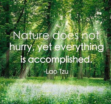 quotes nature