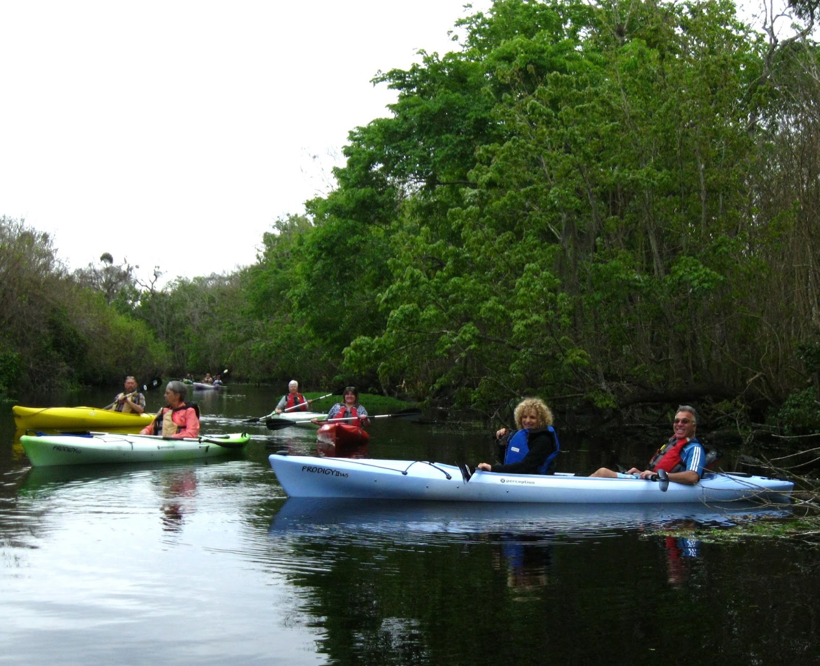 Central Florida Kayak Tours Kayaking with the Manatees, February 6, 2013