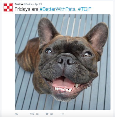 Purina's most successful Twitter post