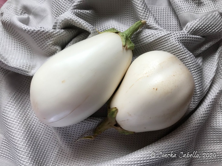 Berenjenas Blancas de Nuestro Huerto | Berenjenas Encurtidas berenjenas-blancas-encurtidas