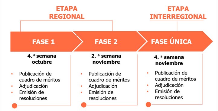 Etapas de la Reasignación Docente 2020
