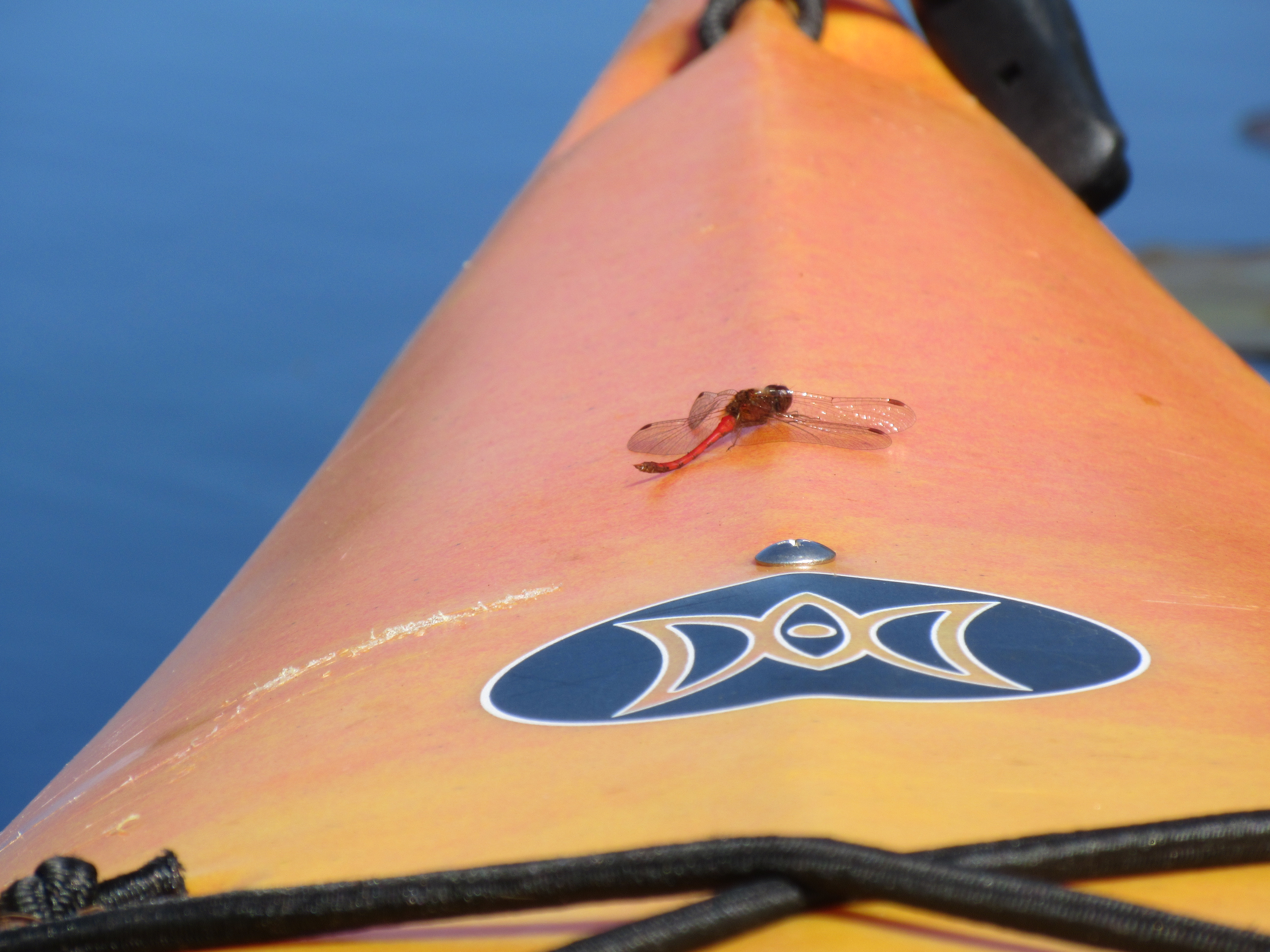 Dave's Yak Tales Lake Tomahawk, Saturday