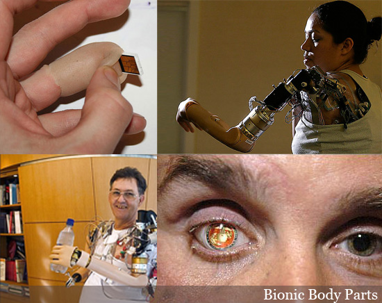 INFOTAINMENT: Bionic Bodies