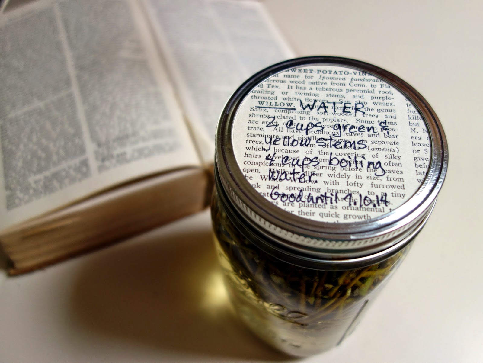 woman with wings making willow water