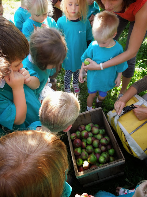L'Ecole Française du Maine: Apple Picking field trip for preschool and