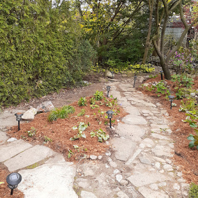 Mount Pleasant East Toronto Garden Makeover After by Paul Jung--a Toronto Organic Gardener