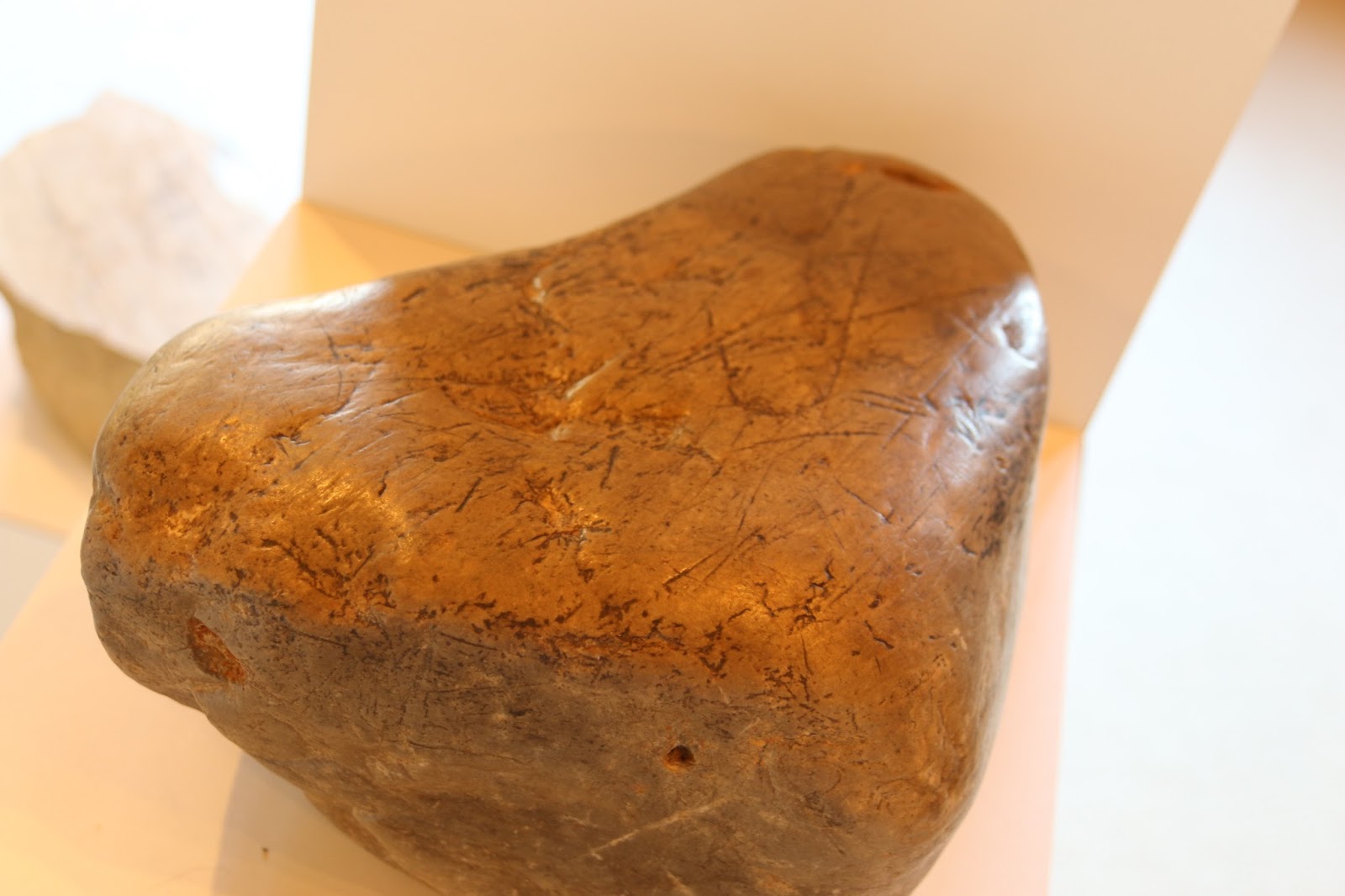 Nomadic Newfies Kettle Moraine's Ice Age Visitor Center