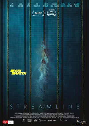 Streamline