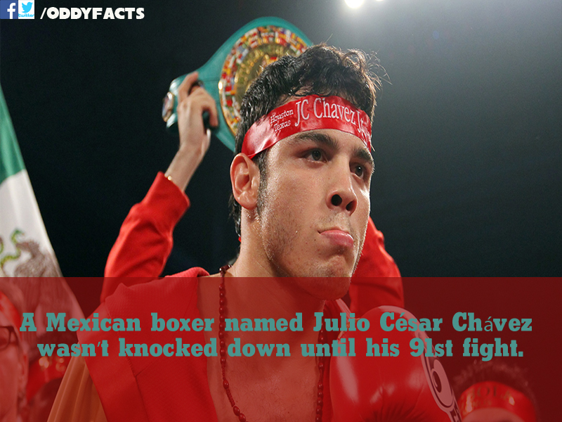 Oddy Facts 11 boxing interesting facts