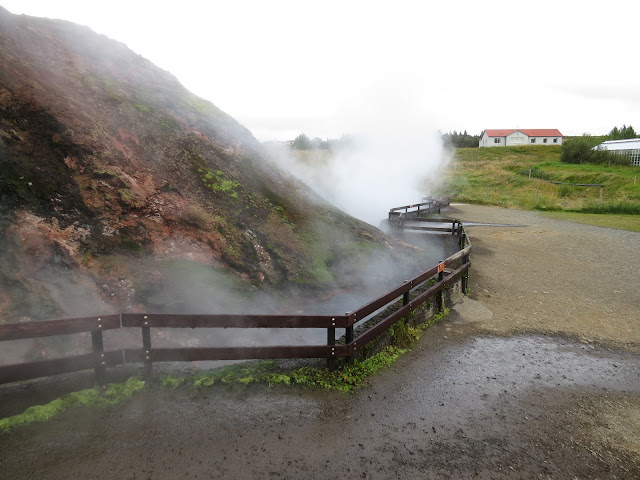 Día 14 (Deildartunguhver - Hraunfossar - Glymur) - Islandia Agosto 2014 (15 días recorriendo la Isla) (4)