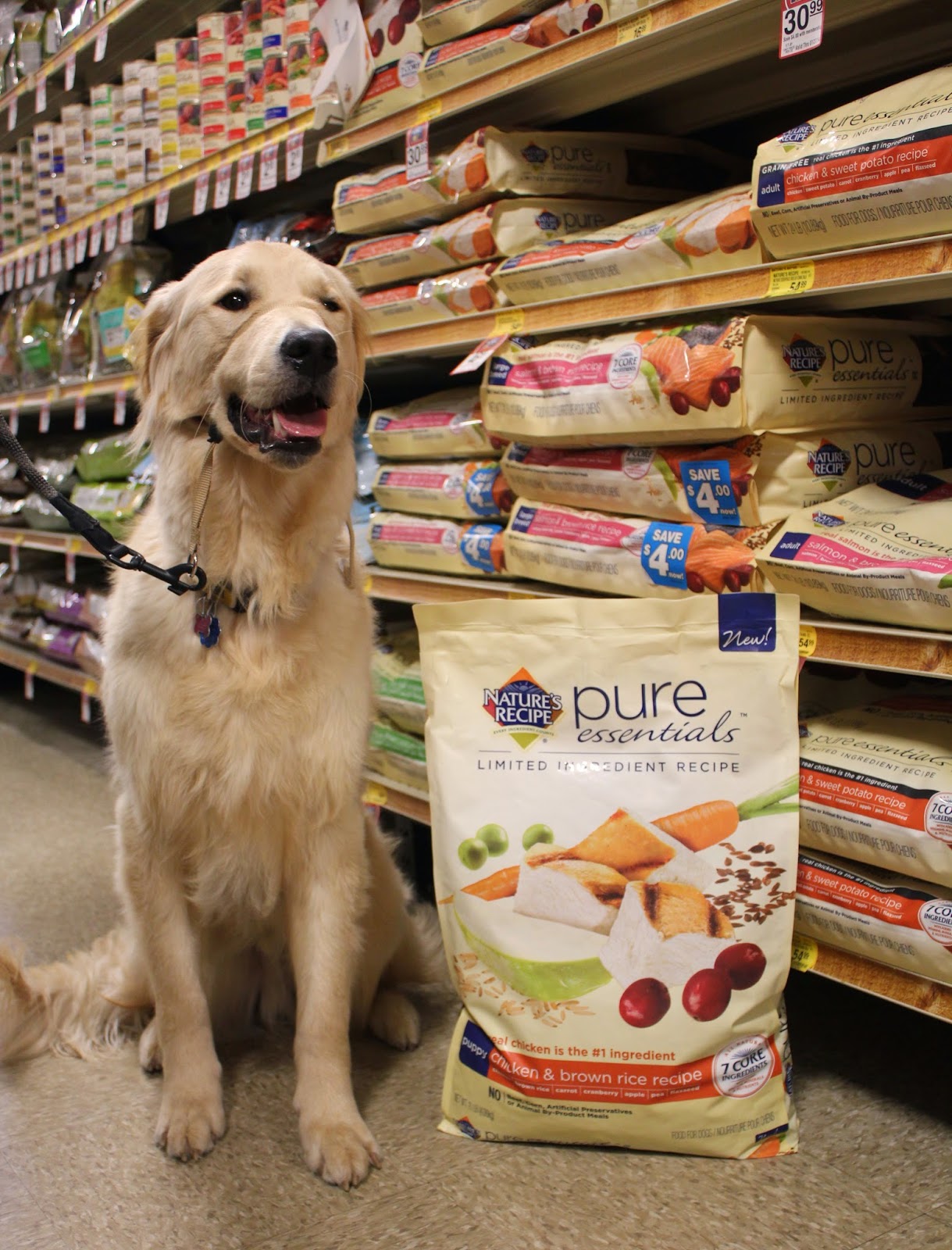 pure essentials dog food
