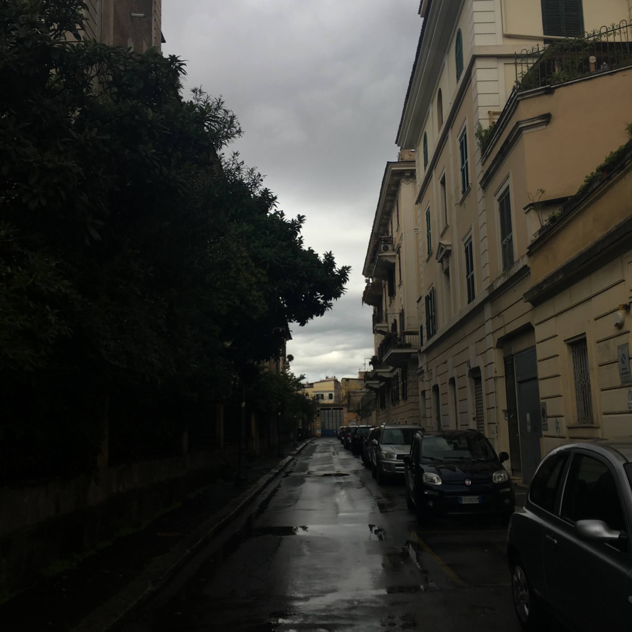 Rerum Romanarum Via Giuseppe Luigi Passalacqua