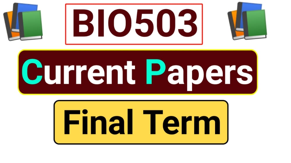 Term paper 2021 image