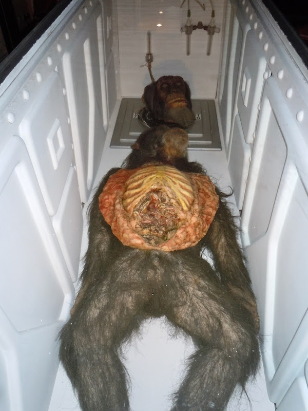 Chimp autopsy creature prop 28 Days Later Chimp autopsy prop 28 Days Later