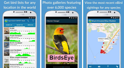 flying bird html code 2
