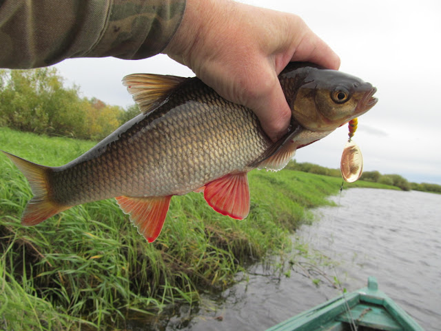 ��� �� ��������